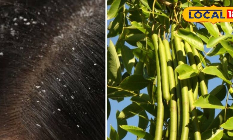 दस दिन में हेयर फॉल कम, 3 हफ्ते में घने और शाइनी बाल, यह घरेलू हेयर स्प्रे बदल देगा आपके बालों का नूर!