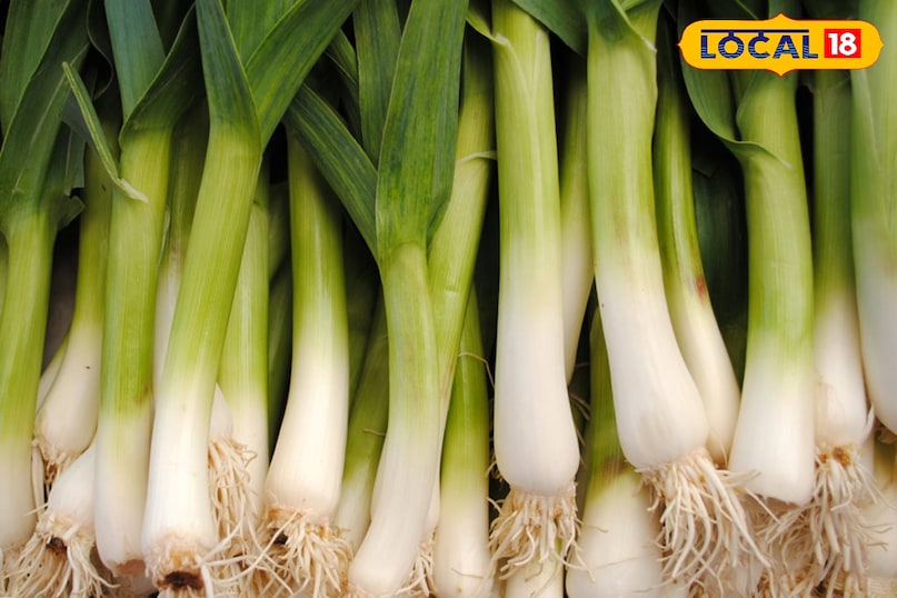 लहसुन का साग 