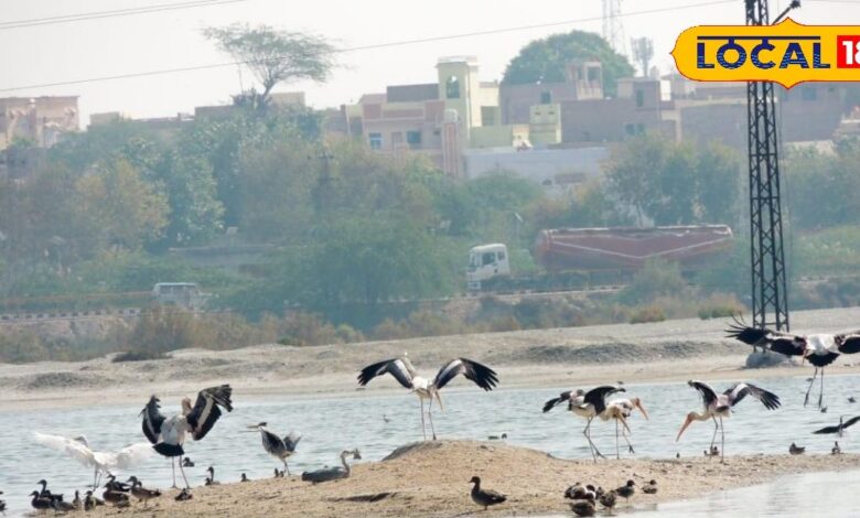 लूणकरणसर साल्ट लेक पर प्रवासी, स्थानीय, संकटप्रस्थ और जालियों पक्षियों एवं वनस्पतियों की होगी गणना