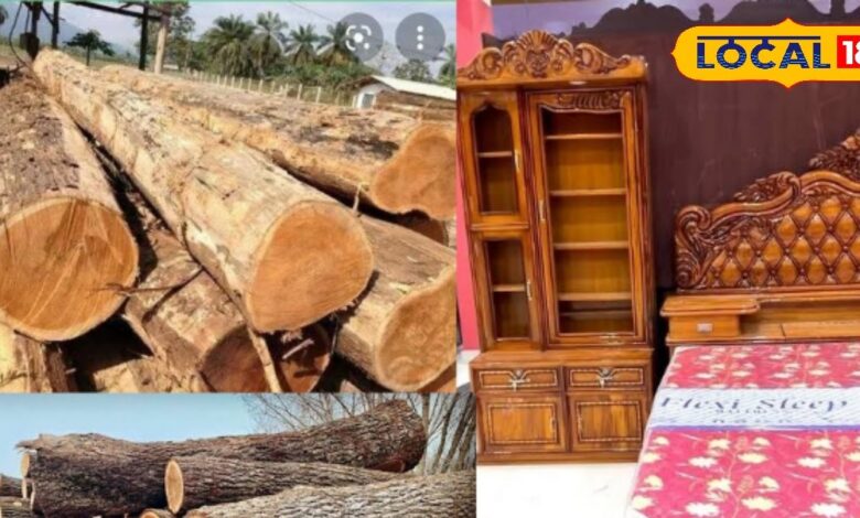 Best wood for bed frame | Durable bed frame wood | Long-lasting wooden furniture | Strong wood for furniture | Bed frame tips and tricks | Furniture making wood guide | Teak wood bed frame