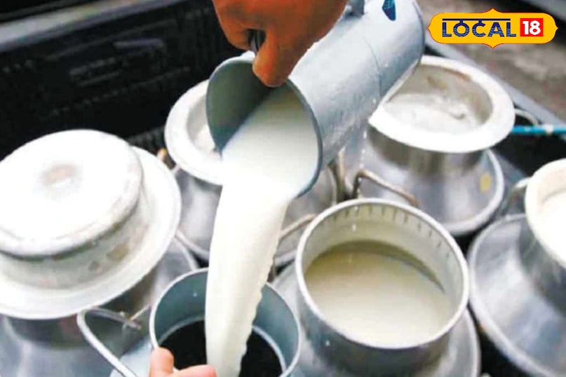 दूध उत्पादन दूध उत्पादन