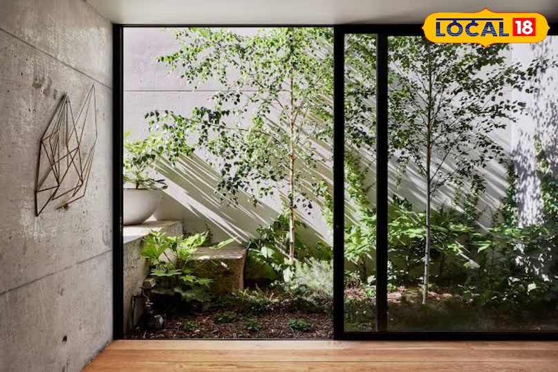 बायोफिलिक डिज़ाइन अब प्रकृति से प्रेरित डिज़ाइन भी घरों की दीवारों पर नज़र आ रहे हैं। जंगल, पत्तियों के प्रिंट, बेल-बूटे या हरे-भरे रंगों वाली पेंटिंग्स घर में शांति और ताजगी भर देती हैं। यह डिज़ाइन शहर की भागदौड़ के बीच घर को एक शांत और तनावमुक्त जगह बनाते हैं।