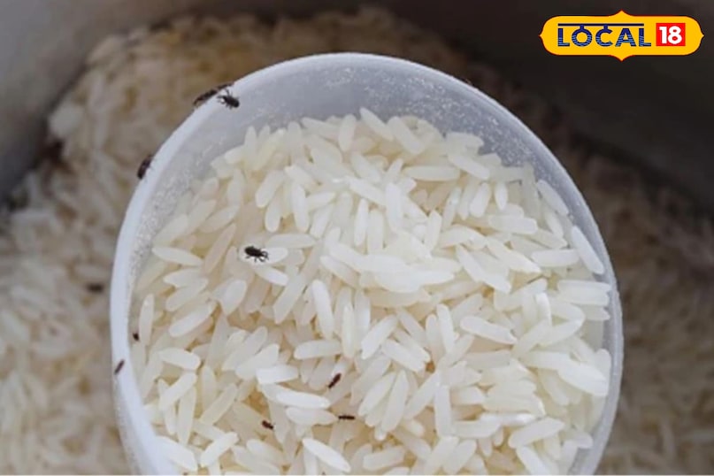 चावल उपचार 