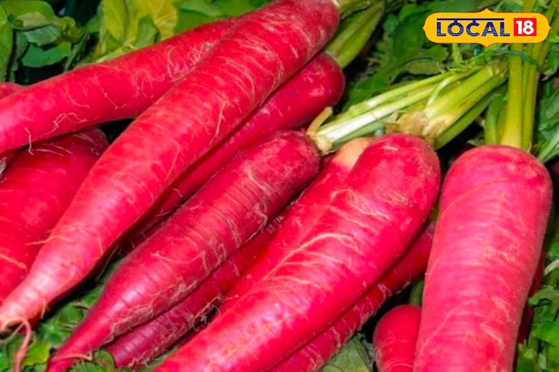 गाजर गाजर