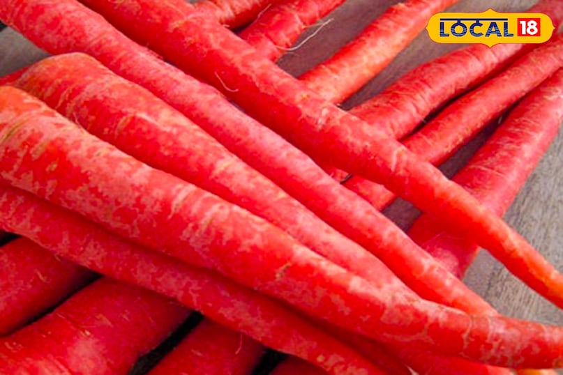 गाजर गाजर