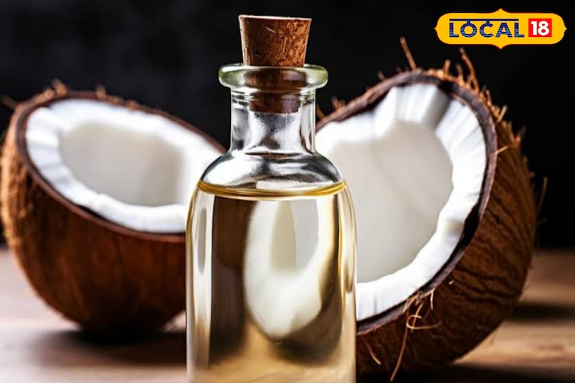 इससे इसका आसानी से उपयोग किया जा सकता है. इससे इसका आसानी से उपयोग किया जा सकता है.