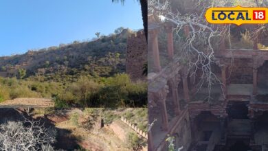 पहाड़ों में छुपा पातालखोर रहस्य; घने जंगलों के बीच खड़ी सदियों पुरानी बावड़ी, आज भी डर से कांप जाते हैं लोग!