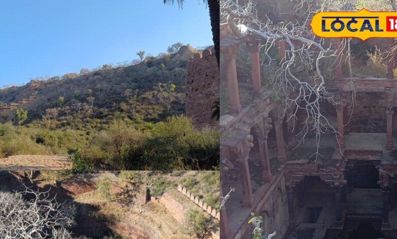 पहाड़ों में छुपा पातालखोर रहस्य; घने जंगलों के बीच खड़ी सदियों पुरानी बावड़ी, आज भी डर से कांप जाते हैं लोग!