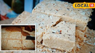 करौली की शुगर फ्री गजक: जानें प्रसिद्धि, कीमत और सीक्रेट रेसिपी