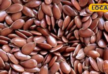 सुबह चुटकी भर अलसी करेगी बड़ा काम, स्किन-हेयर से लेकर पाचन तक देगी जबरदस्त फायदा, ऐसे करें सेवन - Rajasthan News