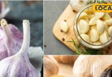 हेल्थ टिप्स: खाली पेट लहसुन खाने से क्या होता है? जानें असर, फायदे और इसे सेवन करने का सही तरीका