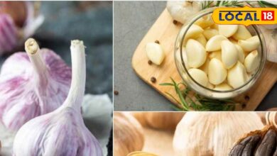 हेल्थ टिप्स: खाली पेट लहसुन खाने से क्या होता है? जानें असर, फायदे और इसे सेवन करने का सही तरीका
