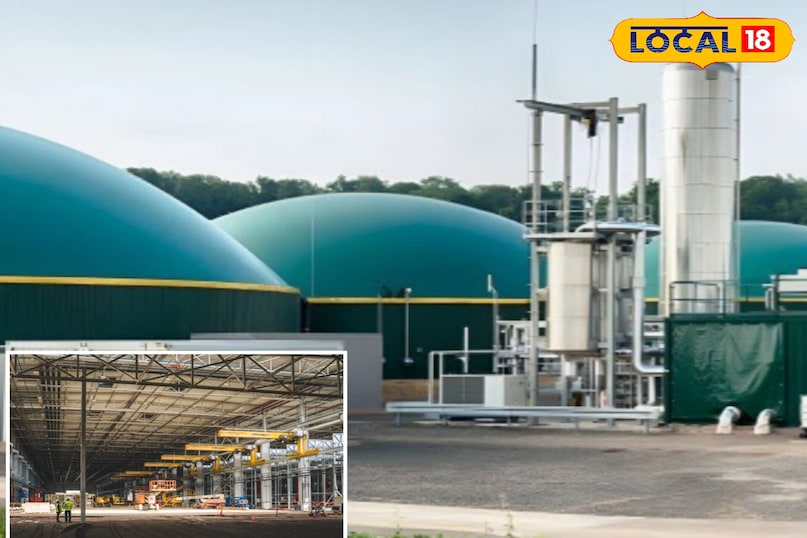 10 हजार बीघा में होगी नेपियर खेती, किसानों को मिलेगी गारंटी आमदनी—चांदराई बना मॉडल क्षेत्र...