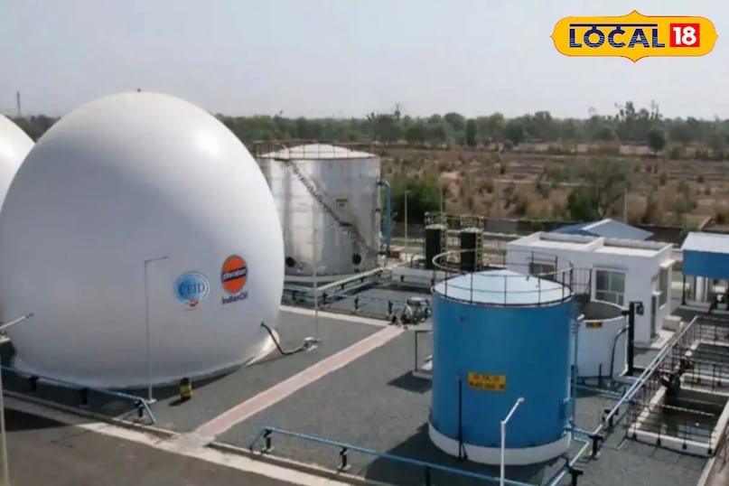 10 हजार बीघा में होगी नेपियर खेती, किसानों को मिलेगी गारंटी आमदनी—चांदराई बना मॉडल क्षेत्र...