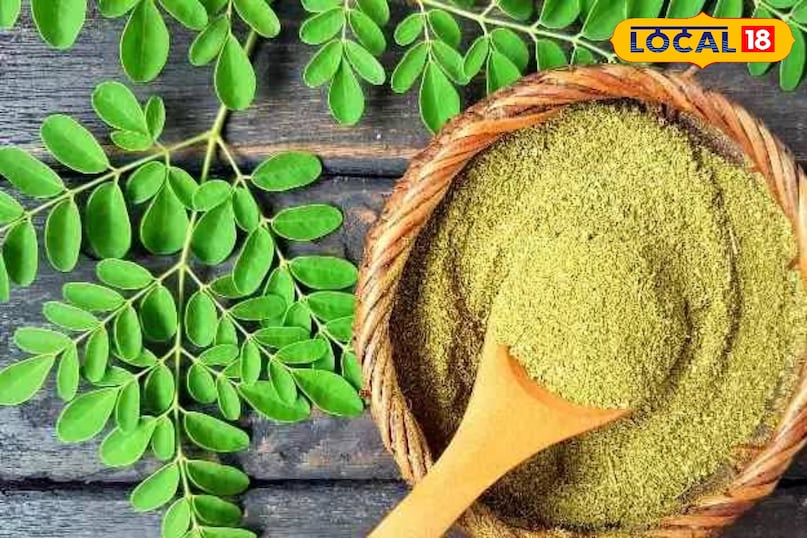 सहजन के पत्ते सहजन के पत्ते