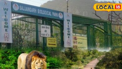 उदयपुर में वन्यजीव पर्यटन को नई पहचान: नए साल पर सज्जनगढ़ लायन सफारी खुलेगी, सम्राट–सुनैना पहली बार देंगे रोमांचक दर्शन