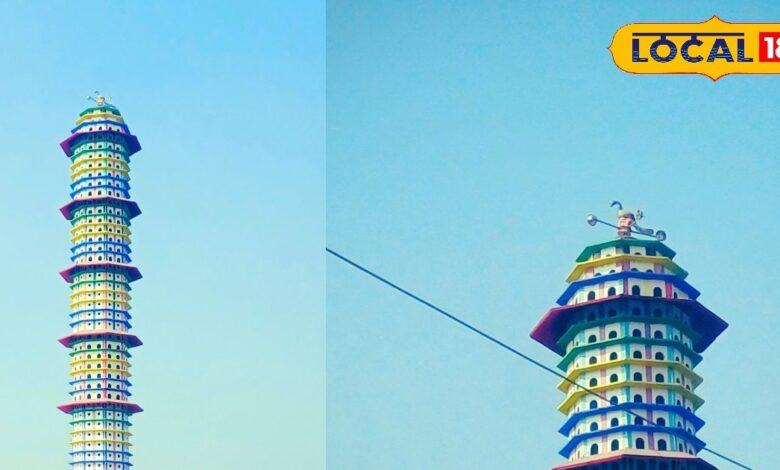 डीग के जड़खोर गौ धाम की अनूठी पहल, गौ-सेवा के साथ पक्षी संरक्षण को भी मिला सुरक्षित आशियाना