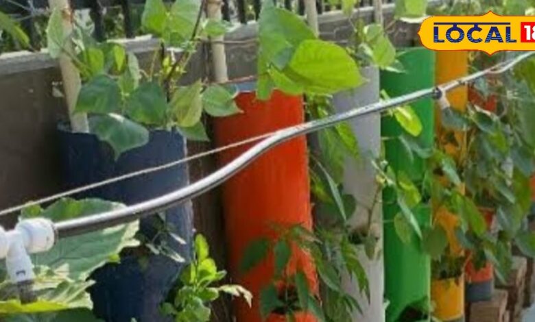 Gardening tips small space | Balcony mini garden ideas | Smart planting techniques | Space-saving gardening | Home gardening tips | Balcony plants guide