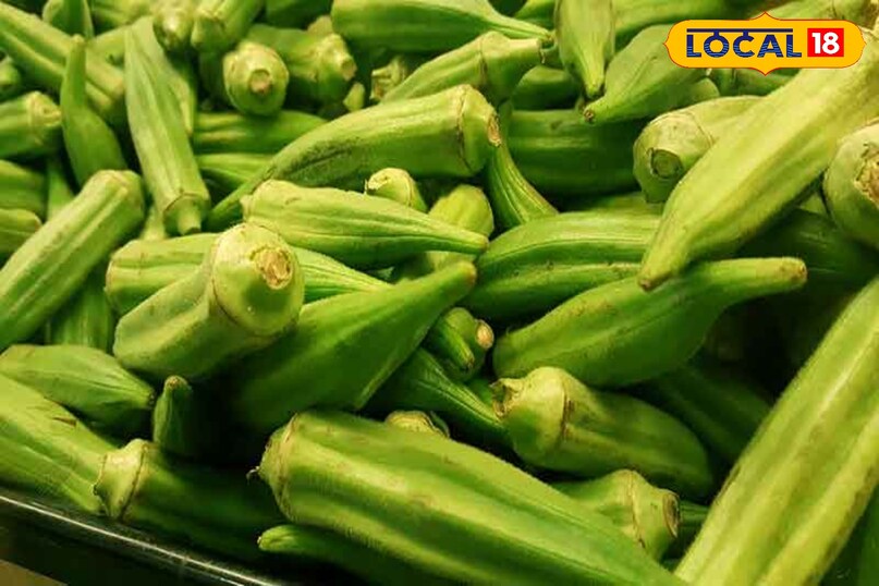 bhilwara bhilwara