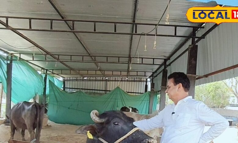 पशुपालकों के लिए खुशखबरी! चारा-दवा की चिंता खत्म, बिना ब्याज मिलेगा एक लाख तक लोन, बस करना होगा ये काम