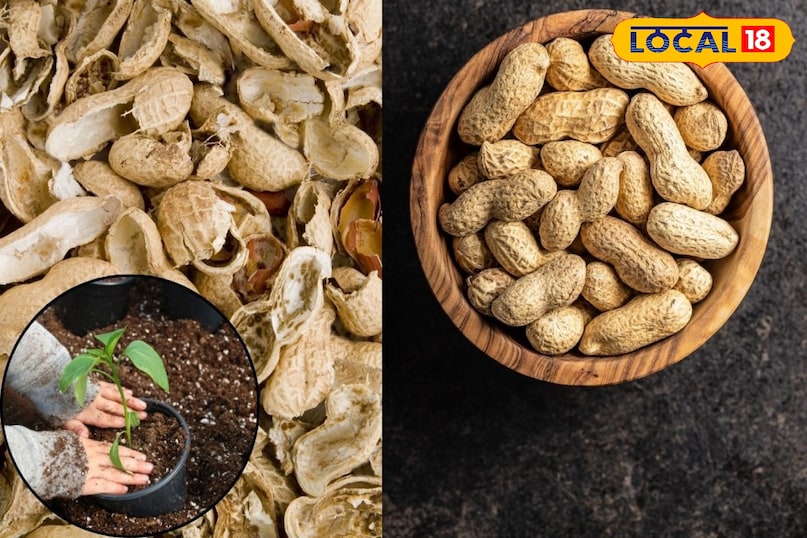 यह सस्ता और काफी आसान उपाय है.