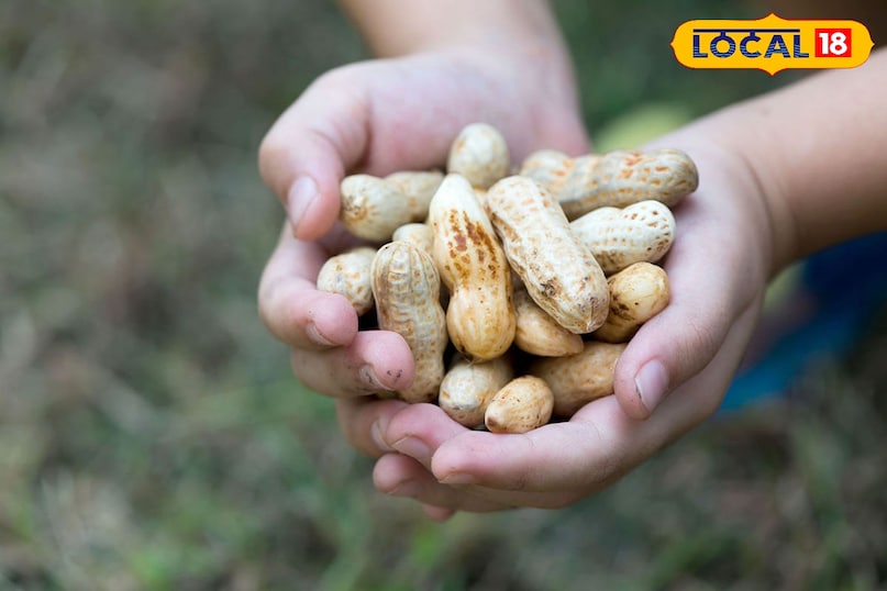 इसलेक अलावा यह इम्युनिटी बढाने में भी मददगार होते है