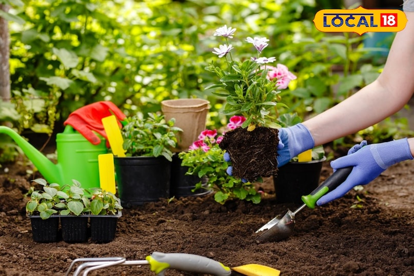 Gardening Tips Gardening Tips