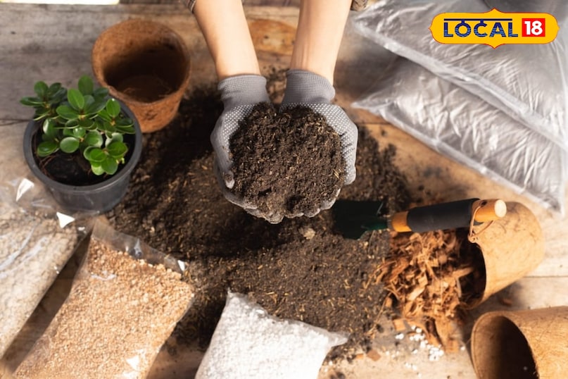 Gardening Tips Gardening Tips