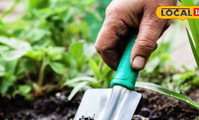 gardening tips | safe gardening practices | garden safety tips | gardening gloves use | gardening mask benefits | plant care tips