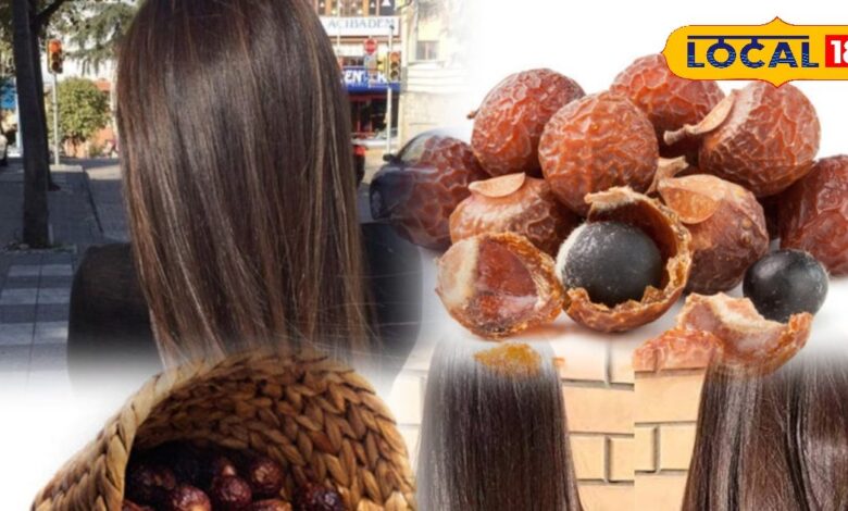 Hair Care Tips: धोने के बाद भी रूखे रह जाते हैं बाल? रीठा से पाएं नेचुरल चमक, जानें दादी-नानी का घरेलू नुस्खा