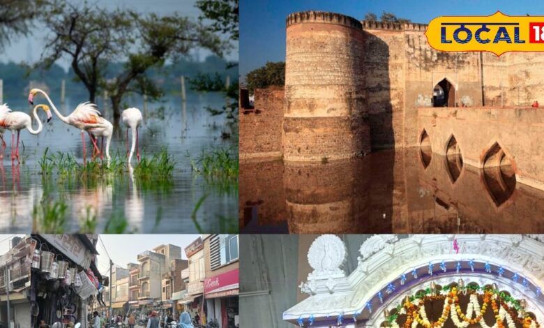 Bharatpur tourist places | Bharatpur winter tourism | beautiful places in Bharatpur | Bharatpur sightseeing winter | Keoladeo National Park Bharatpur | Bharatpur nature spots