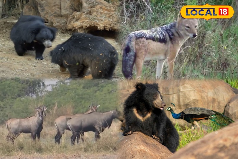 इतिहास से सजी अरावली, सुकून देने वाले जालोर के पर्यटन स्थल...