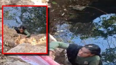 चित्तौड़गढ़ में खौफनाक वारदात, पत्नी ने कुल्हाड़ी से पति का सिर धड़ से किया अलग, गांव में सन्नाटा