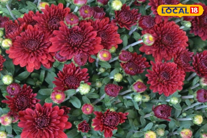 उदयपुर उदयपुर