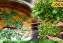 Tips And Tricks: धनिया जल्दी हो जाता है खराब? अपनाएं ये घरेलू टिप्स, हफ्तों तक रहेगा हरा और ताजा