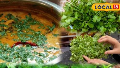 Tips And Tricks: धनिया जल्दी हो जाता है खराब? अपनाएं ये घरेलू टिप्स, हफ्तों तक रहेगा हरा और ताजा