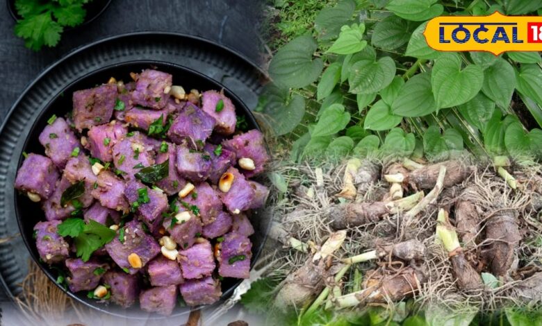 रतालू उगाने के आसान तरीके और सर्दियों में इसके फायदे जानें.