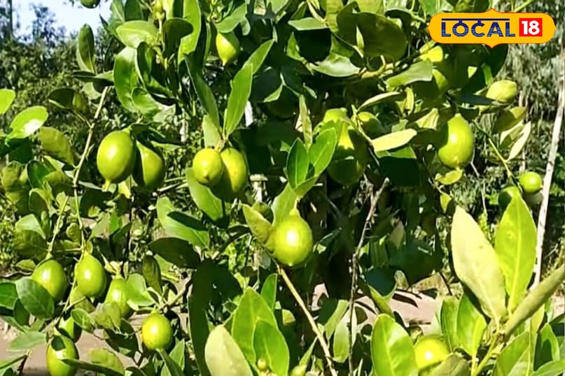 bhilwara