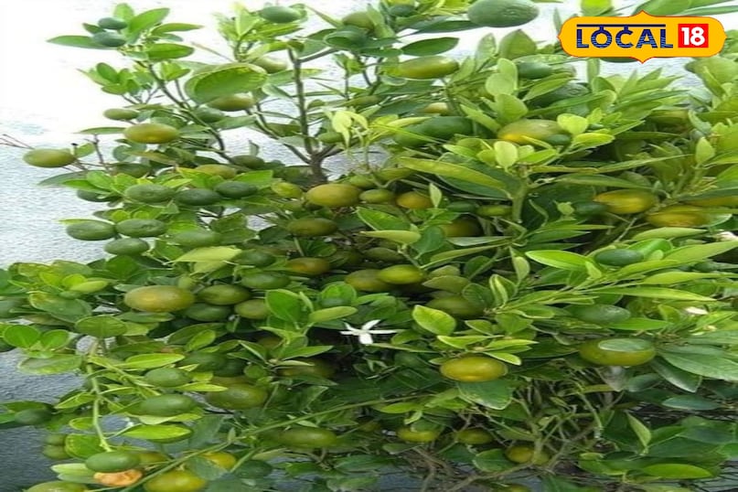 bhilwara