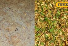 पशुओं की सेहत का कवच है यह देसी बांट, भूख के साथ दूध उत्पादन बढ़ाने में है मददगार, जान लें बनाने का तरीका