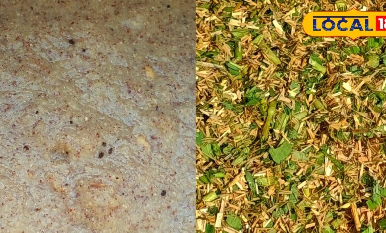 पशुओं की सेहत का कवच है यह देसी बांट, भूख के साथ दूध उत्पादन बढ़ाने में है मददगार, जान लें बनाने का तरीका