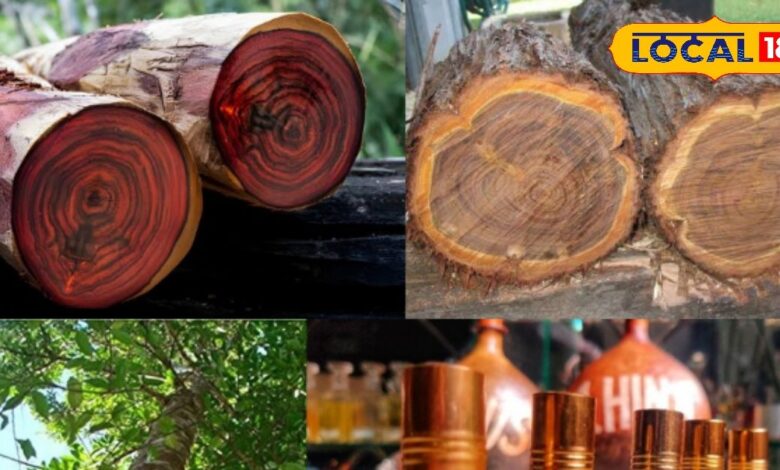precious perfume woods | agarwood oud price | sandalwood perfume wood | cedarwood fragrance | rosewood essential oil | expensive wood for attar | natural fragrance woods