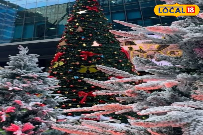 सत्वा नॉलेज सिटी और RMZ नेक्सिटी आईटी कॉरिडोर के पास स्थित ये दोनों स्थान अपने आधुनिक और स्टाइलिश इंस्टॉलेशन के लिए प्रसिद्ध हैं। यहाँ आउटडोर में ऊंचे और जगमगाते क्रिसमस ट्री लगाए गए हैं। रात के समय यहाँ की ड्राइविंग और वॉक बहुत ही उत्सवपूर्ण महसूस होती है। 