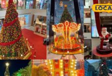 हैदराबाद के बेस्ट क्रिसमस ट्री 2025