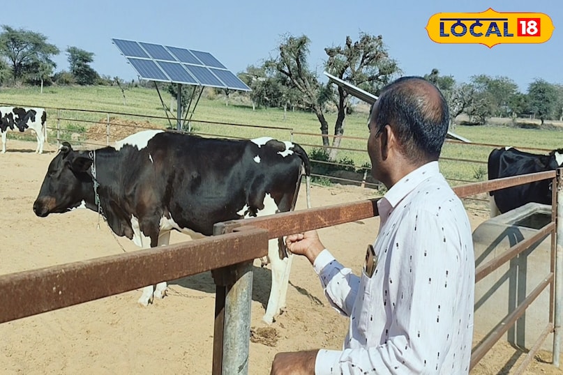 पशुपालन पशुपालन