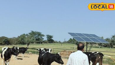 अब पशुपालक होंगे हाईटेक, लगा सकेंगे खुद का उद्योग, 50 लाख से अधिक का मिलेगा अनुदान, जानें कैसे लें लाभ