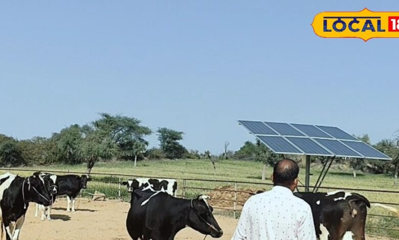 अब पशुपालक होंगे हाईटेक, लगा सकेंगे खुद का उद्योग, 50 लाख से अधिक का मिलेगा अनुदान, जानें कैसे लें लाभ