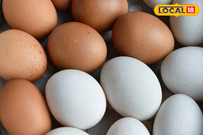 अंडे की जर्दी से बालों को कंडीशन करना अच्छा विकल्प है. 