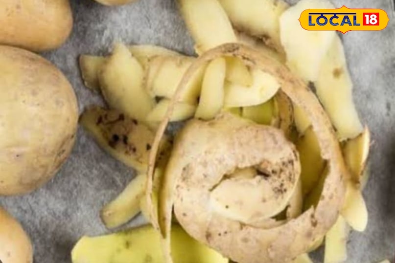 गार्डेनिंग टिप्स 