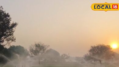 रबी फसलों के लिए ओस का महत्व | Importance of Dew for Rabi Crops Rajasthan News